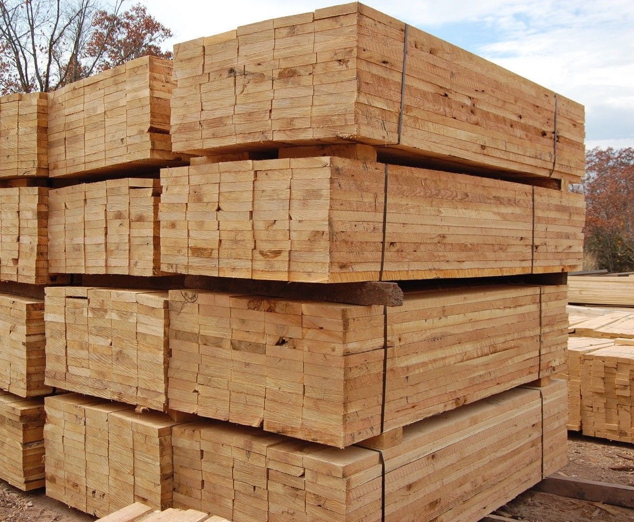 Lumber Supply